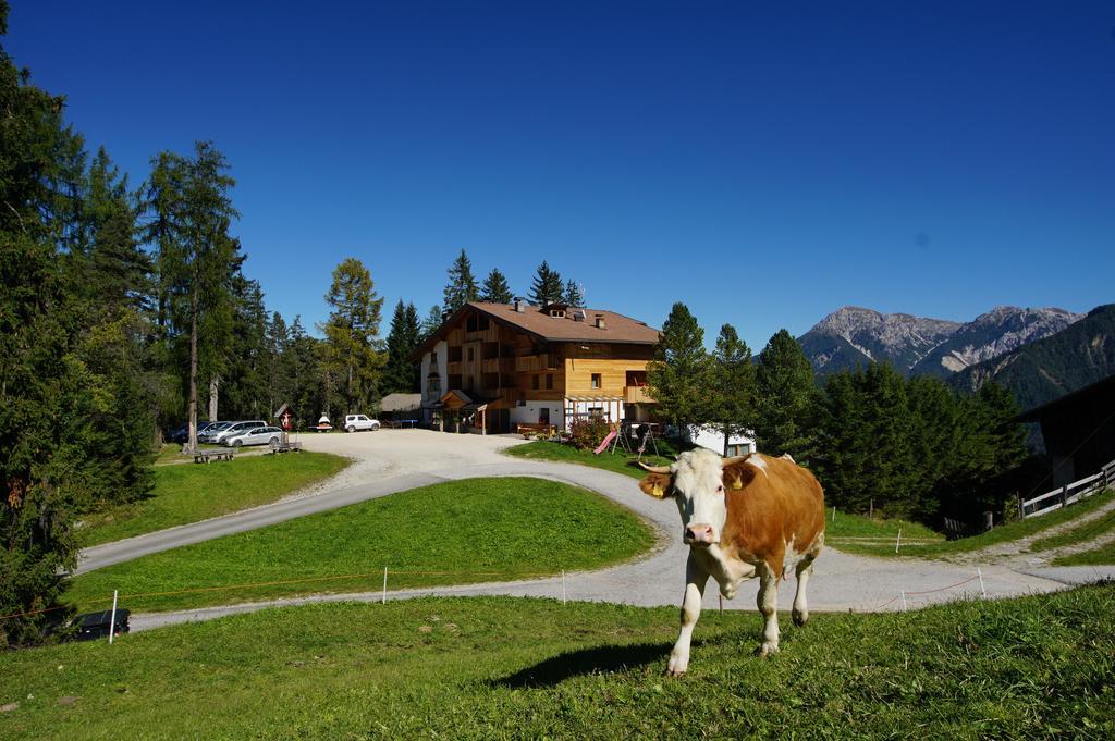 Chalet Frapes San Martino in Badia Exterior photo
